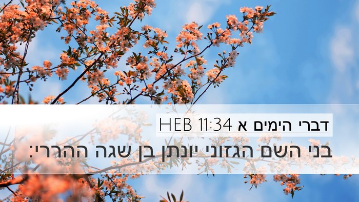 דברי הימים א 11:34 HEB Bible Verse Image