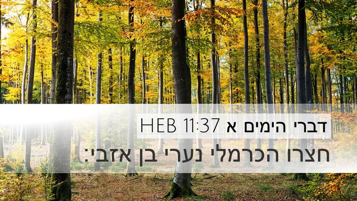 דברי הימים א 11:37 HEB Bible Verse Image