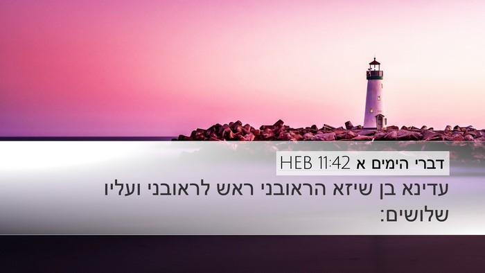 דברי הימים א 11:42 HEB Desktop Wallpaper - עדינא בן שיזא הראובני ראש - Desktop Bible Verse Wallpaper
