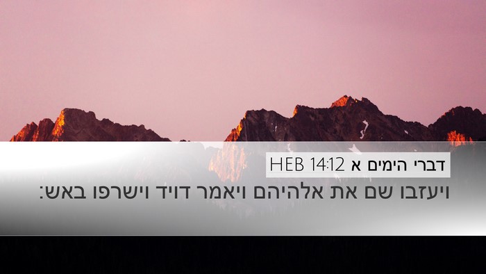 דברי הימים א 14:12 HEB Bible Verse Image