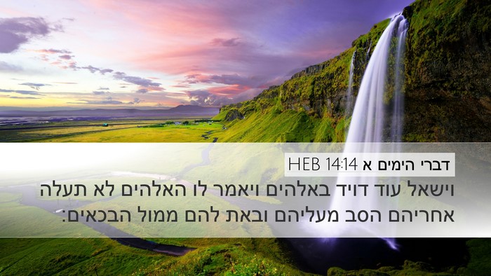 דברי הימים א 14:14 HEB Bible Verse Image
