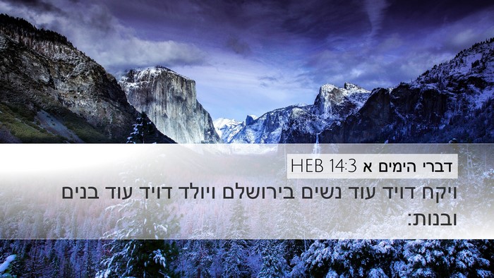 דברי הימים א 14:3 HEB Bible Verse Image
