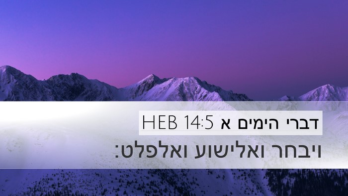 דברי הימים א 14:5 HEB Bible Verse Image