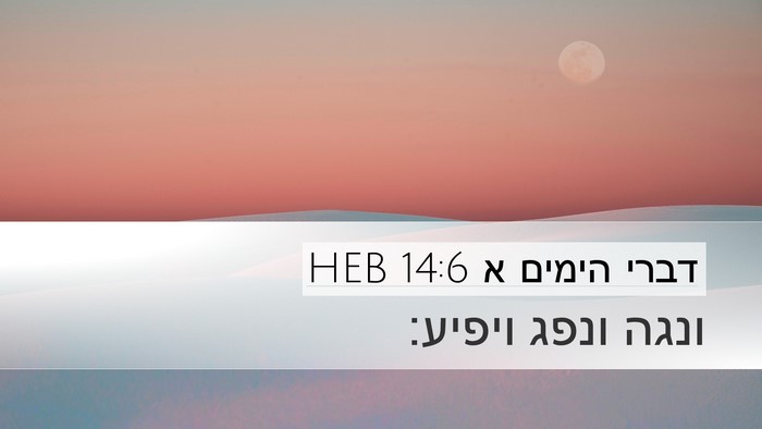 דברי הימים א 14:6 HEB Desktop Wallpaper - ונגה ונפג - Desktop Bible Verse Wallpaper