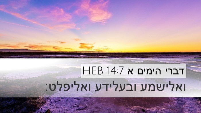 דברי הימים א 14:7 HEB Bible Verse Image