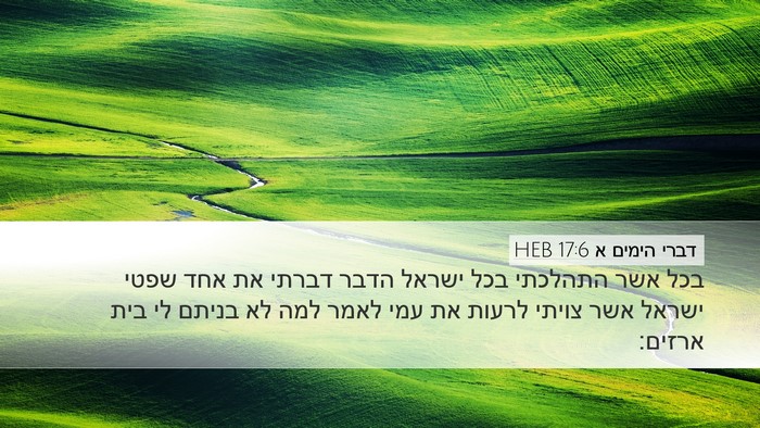 דברי הימים א 17:6 HEB Bible Verse Image