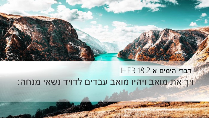 דברי הימים א 18:2 HEB Bible Verse Image