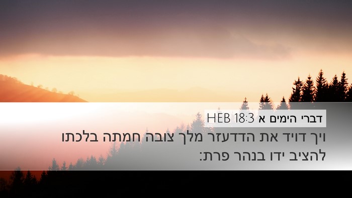 דברי הימים א 18:3 HEB Bible Verse Image