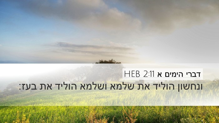 דברי הימים א 2:11 HEB Bible Verse Image