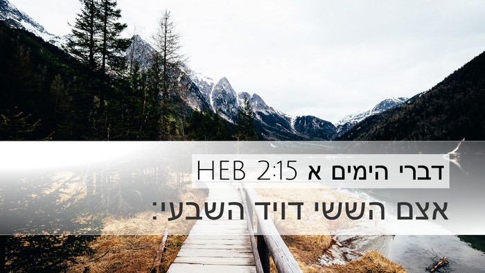דברי הימים א 2:15 HEB Bible Verse Image