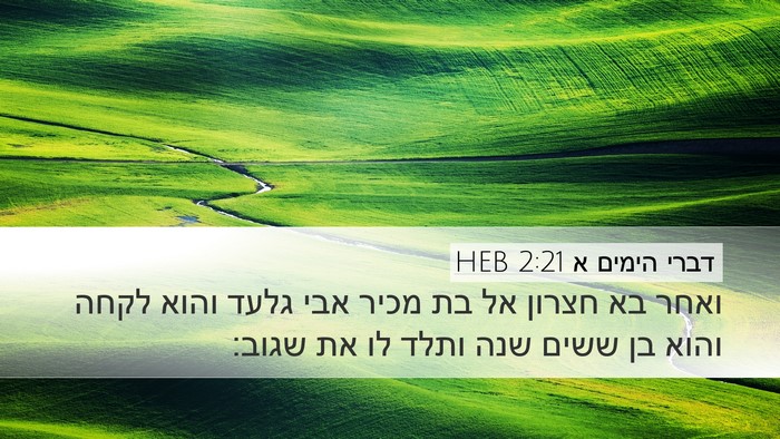 דברי הימים א 2:21 HEB Bible Verse Image