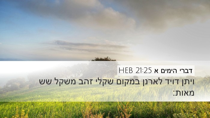 דברי הימים א 21:25 HEB Desktop Wallpaper - ויתן דויד לארנן במקום שקלי - Desktop Bible Verse Wallpaper