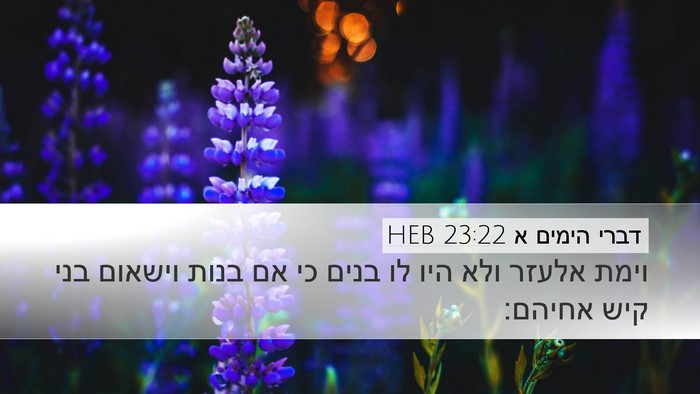 דברי הימים א 23:22 HEB Bible Verse Image