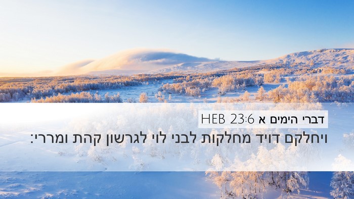 דברי הימים א 23:6 HEB Bible Verse Image