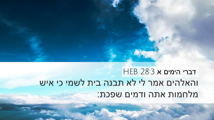 דברי הימים א 28:3 HEB Bible Verse Image