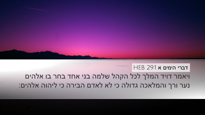 דברי הימים א 29:1 HEB Bible Verse Image