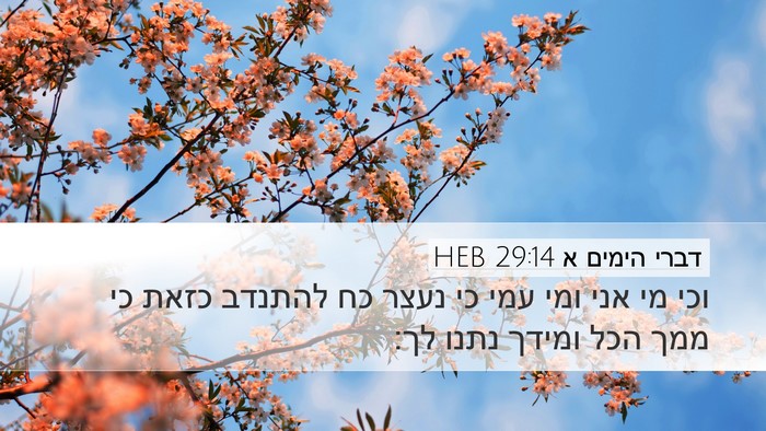 דברי הימים א 29:14 HEB Bible Verse Image