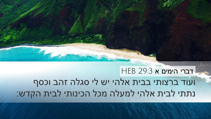 דברי הימים א 29:3 HEB Bible Verse Image
