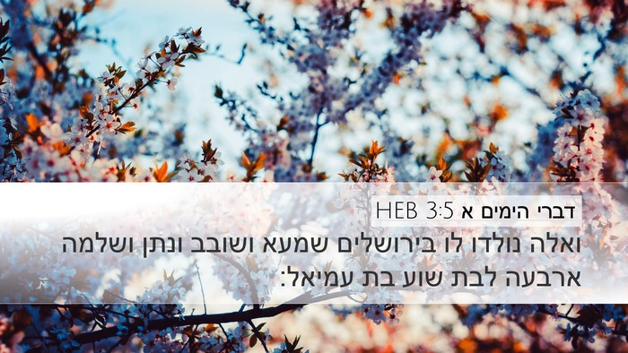 דברי הימים א 3:5 HEB Bible Verse Image