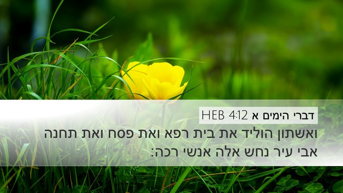 דברי הימים א 4:12 HEB Desktop Wallpaper - ואשתון הוליד את בית רפא ואת - Desktop Bible Verse Wallpaper