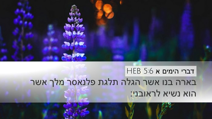 דברי הימים א 5:6 HEB Bible Verse Image