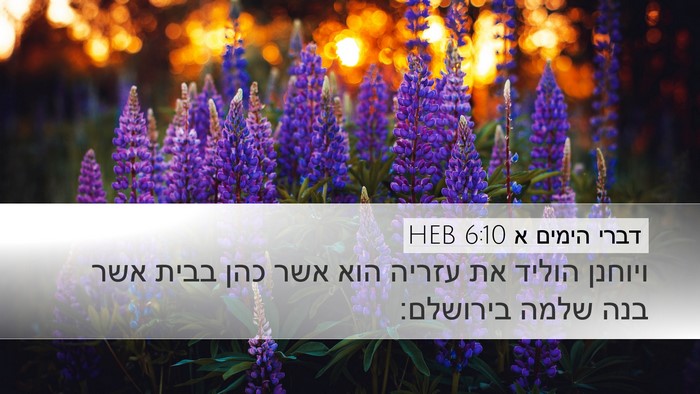 דברי הימים א 6:10 HEB Bible Verse Image