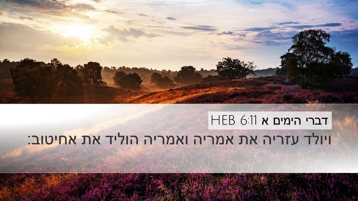 דברי הימים א 6:11 HEB Desktop Wallpaper - ויולד עזריה את אמריה - Desktop Bible Verse Wallpaper