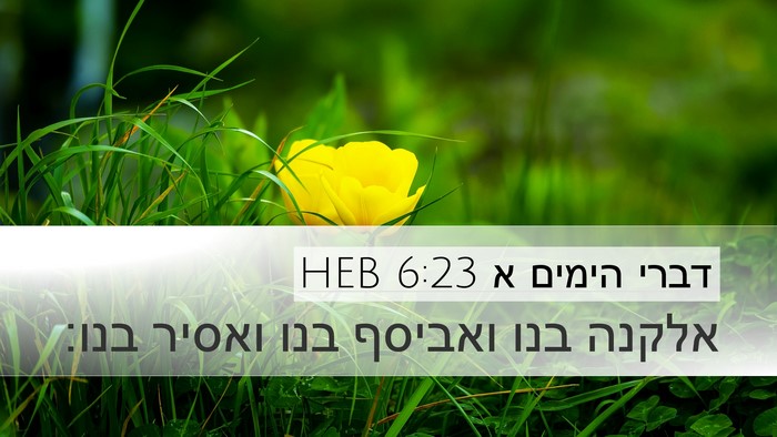 דברי הימים א 6:23 HEB Desktop Wallpaper - אלקנה בנו ואביסף בנו ואסיר - Desktop Bible Verse Wallpaper
