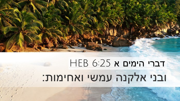 דברי הימים א 6:25 HEB Bible Verse Image