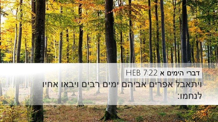 דברי הימים א 7:22 HEB Desktop Wallpaper - ויתאבל אפרים אביהם ימים - Desktop Bible Verse Wallpaper