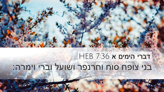דברי הימים א 7:36 HEB Desktop Wallpaper - בני צופח סוח וחרנפר ושועל - Desktop Bible Verse Wallpaper