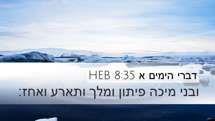 דברי הימים א 8:35 HEB Bible Verse Image