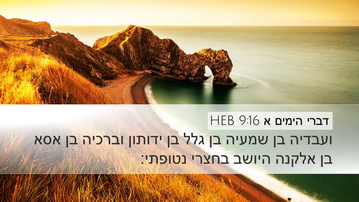 דברי הימים א 9:16 HEB Bible Verse Image