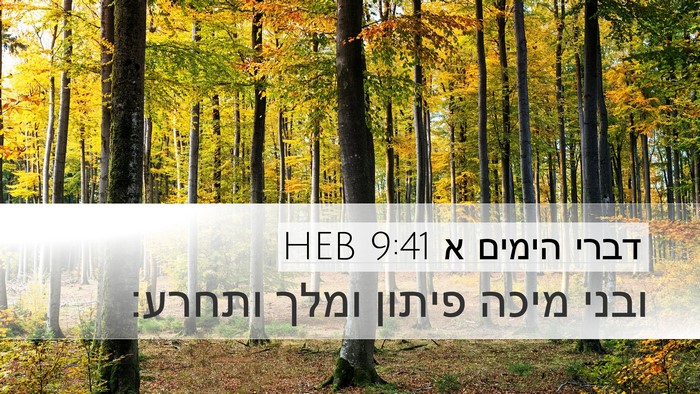 דברי הימים א 9:41 HEB Desktop Wallpaper - ובני מיכה פיתון ומלך - Desktop Bible Verse Wallpaper