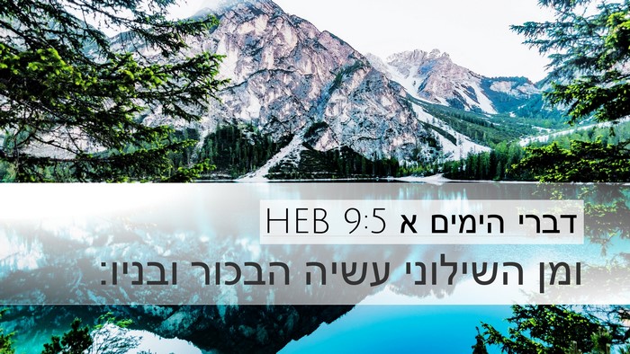 דברי הימים א 9:5 HEB Bible Verse Image