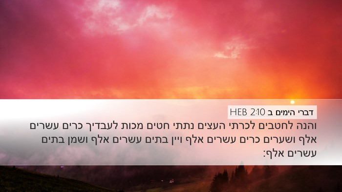 דברי הימים ב 2:10 HEB Bible Verse Image