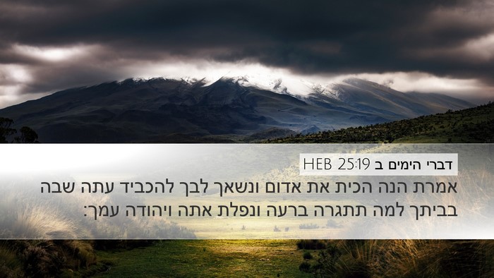 דברי הימים ב 25:19 HEB Bible Verse Image