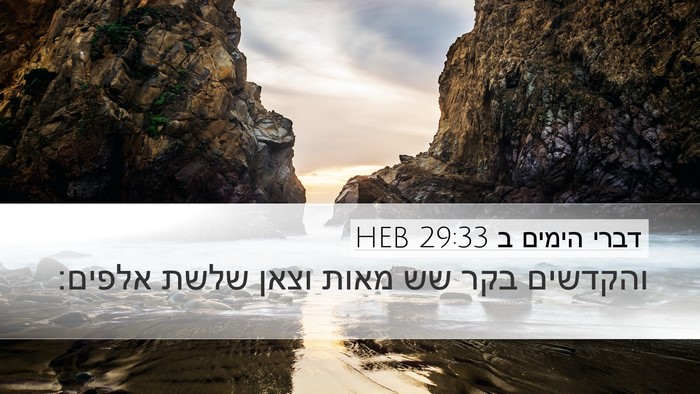 דברי הימים ב 29:33 HEB Desktop Wallpaper - והקדשים בקר שש מאות וצאן - Desktop Bible Verse Wallpaper