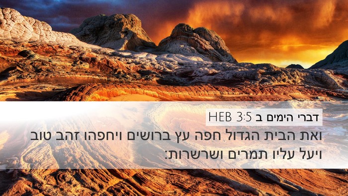 דברי הימים ב 3:5 HEB Bible Verse Image