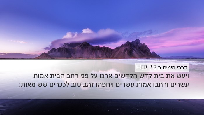 דברי הימים ב 3:8 HEB Bible Verse Image