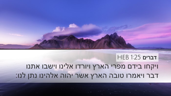 דברים 1:25 HEB Bible Verse Image