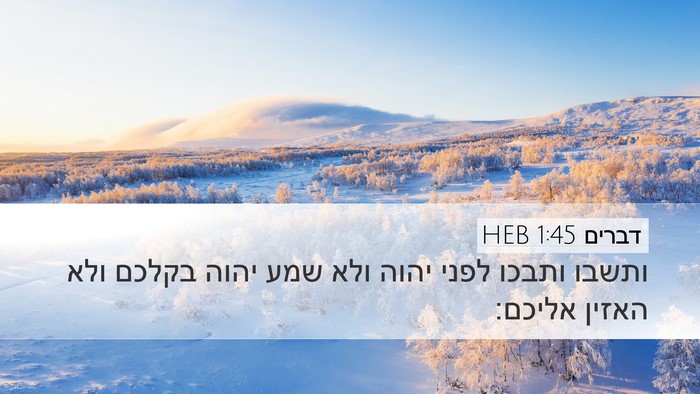 דברים 1:45 HEB Bible Verse Image