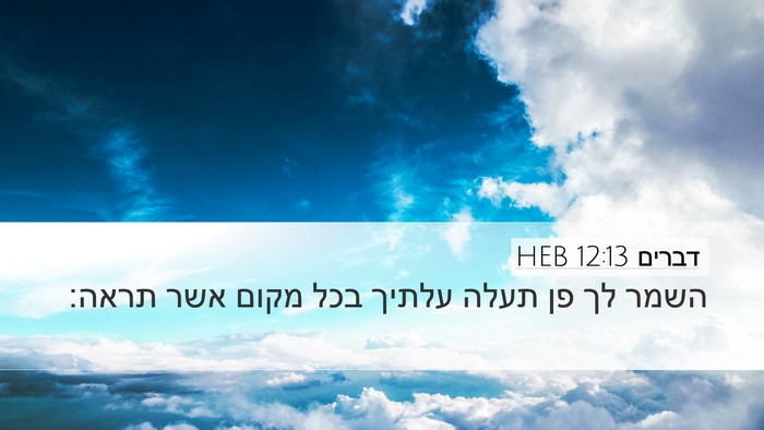 דברים 12:13 HEB Bible Verse Image