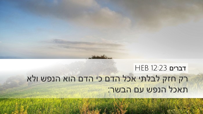 דברים 12:23 HEB Desktop Wallpaper - רק חזק לבלתי אכל הדם כי הדם - Desktop Bible Verse Wallpaper