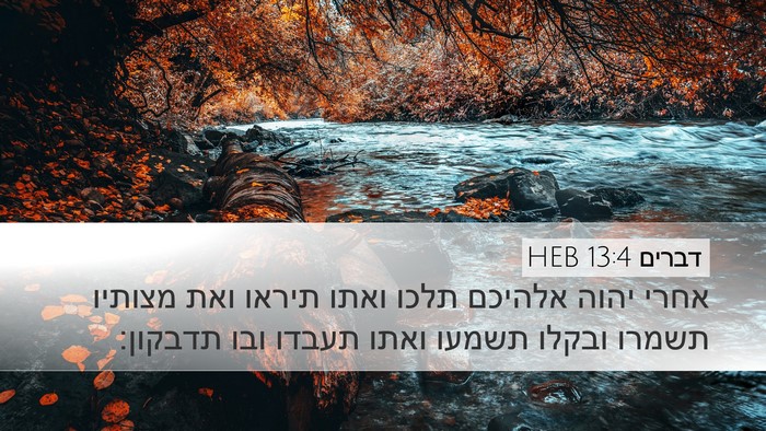 דברים 13:4 HEB Bible Verse Image