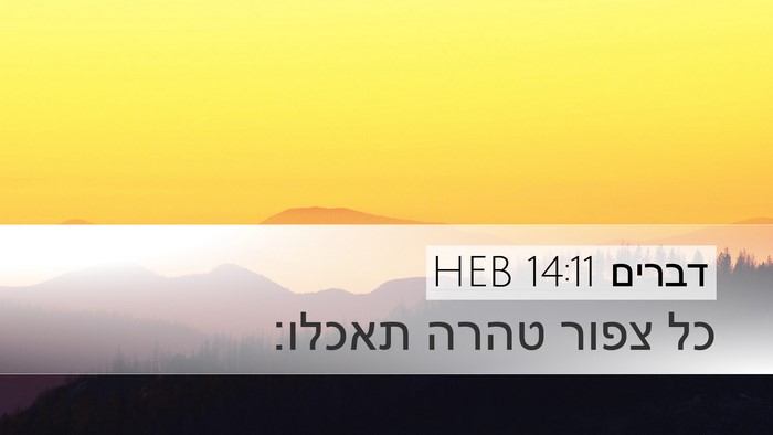 דברים 14:11 HEB Desktop Wallpaper - כל צפור טהרה - Desktop Bible Verse Wallpaper