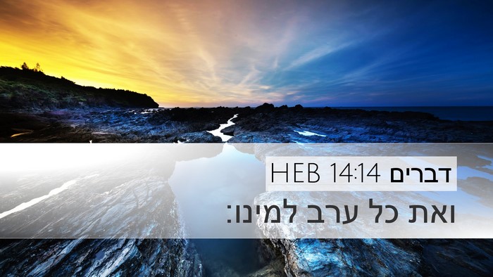 דברים 14:14 HEB Desktop Wallpaper - ואת כל ערב - Desktop Bible Verse Wallpaper