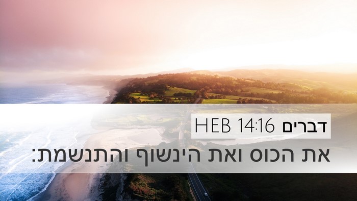 דברים 14:16 HEB Desktop Wallpaper - את הכוס ואת הינשוף - Desktop Bible Verse Wallpaper