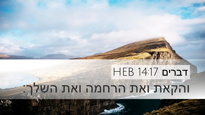 דברים 14:17 HEB Desktop Wallpaper - והקאת ואת הרחמה ואת - Desktop Bible Verse Wallpaper