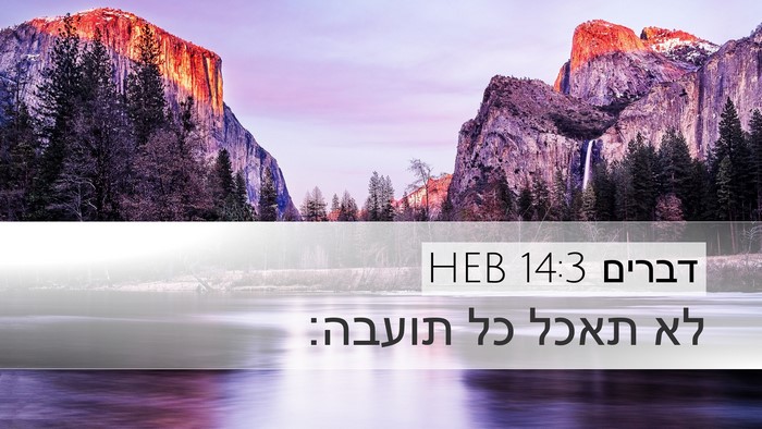 דברים 14:3 HEB Desktop Wallpaper - לא תאכל כל - Desktop Bible Verse Wallpaper